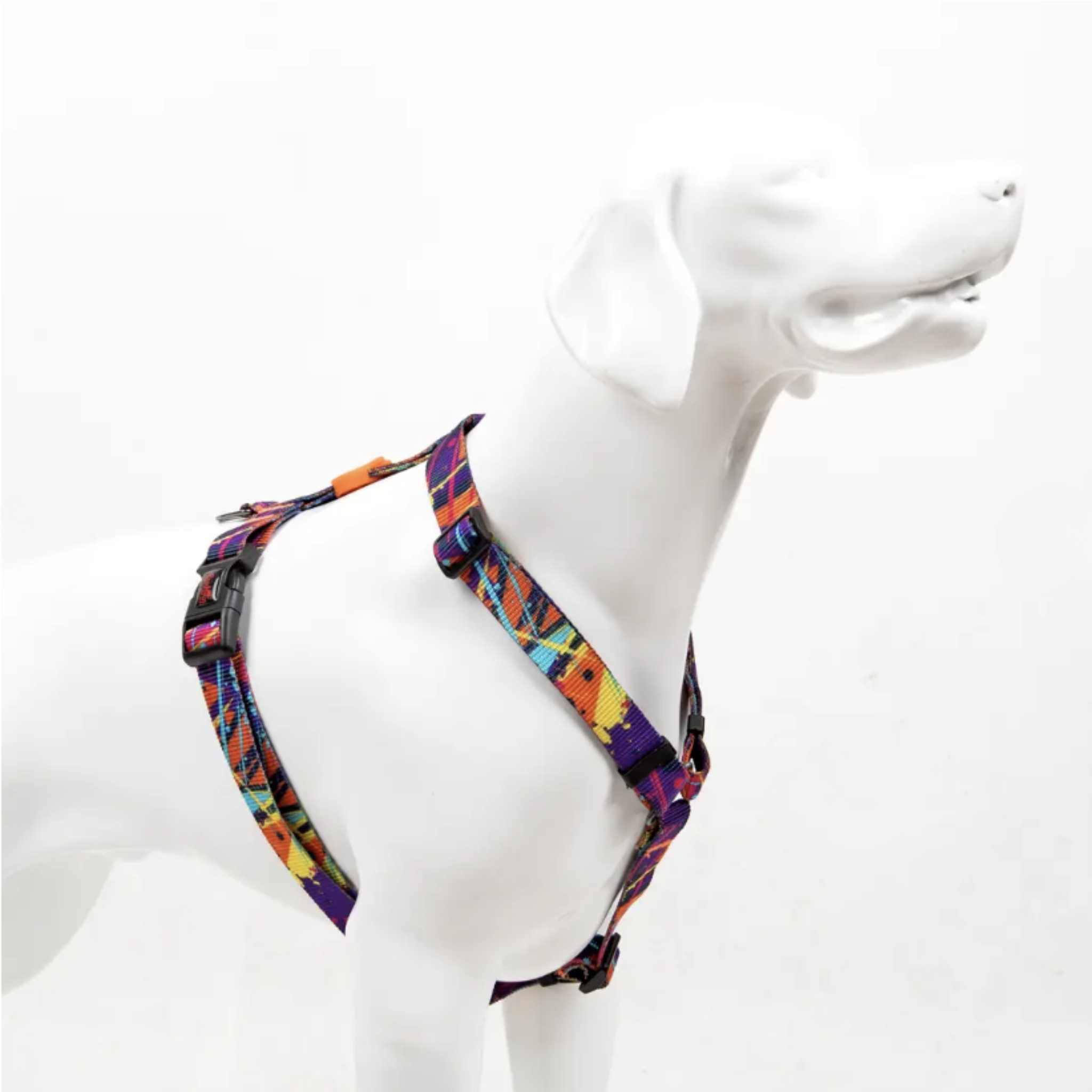 H-Type harness valjaat, Splash