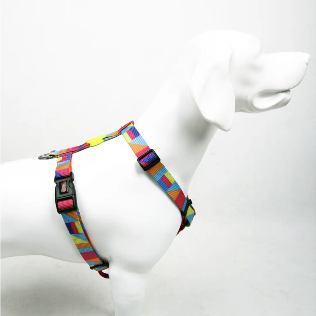 H-type harness valjaat, Spirit