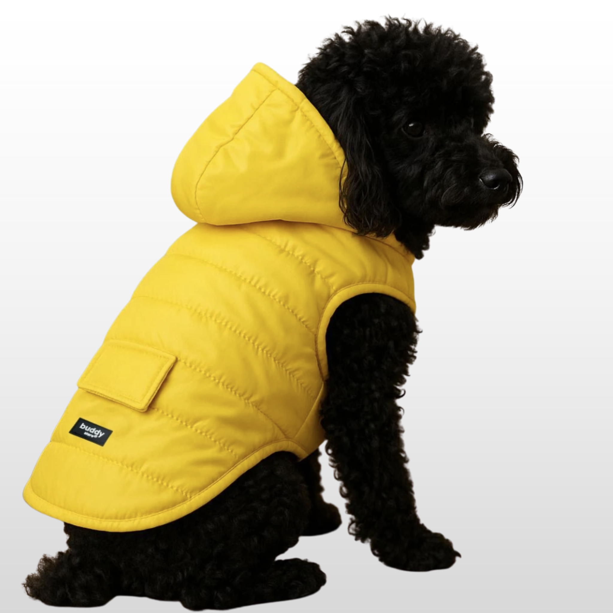 Vedenpitävä Topattu Koiran Takki Keltainen– Helppo Pukea