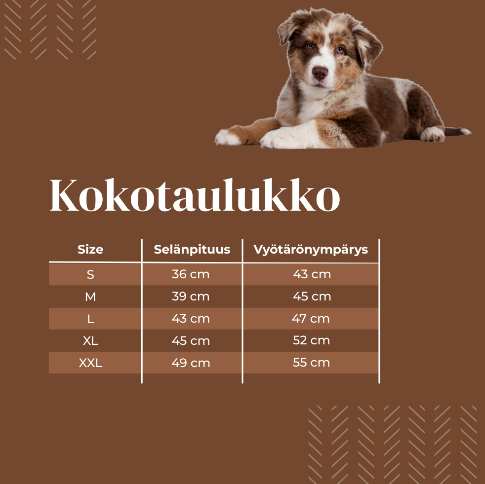 Vedenpitävä ja Topattu Koirantakki Hupulla, Harmaa