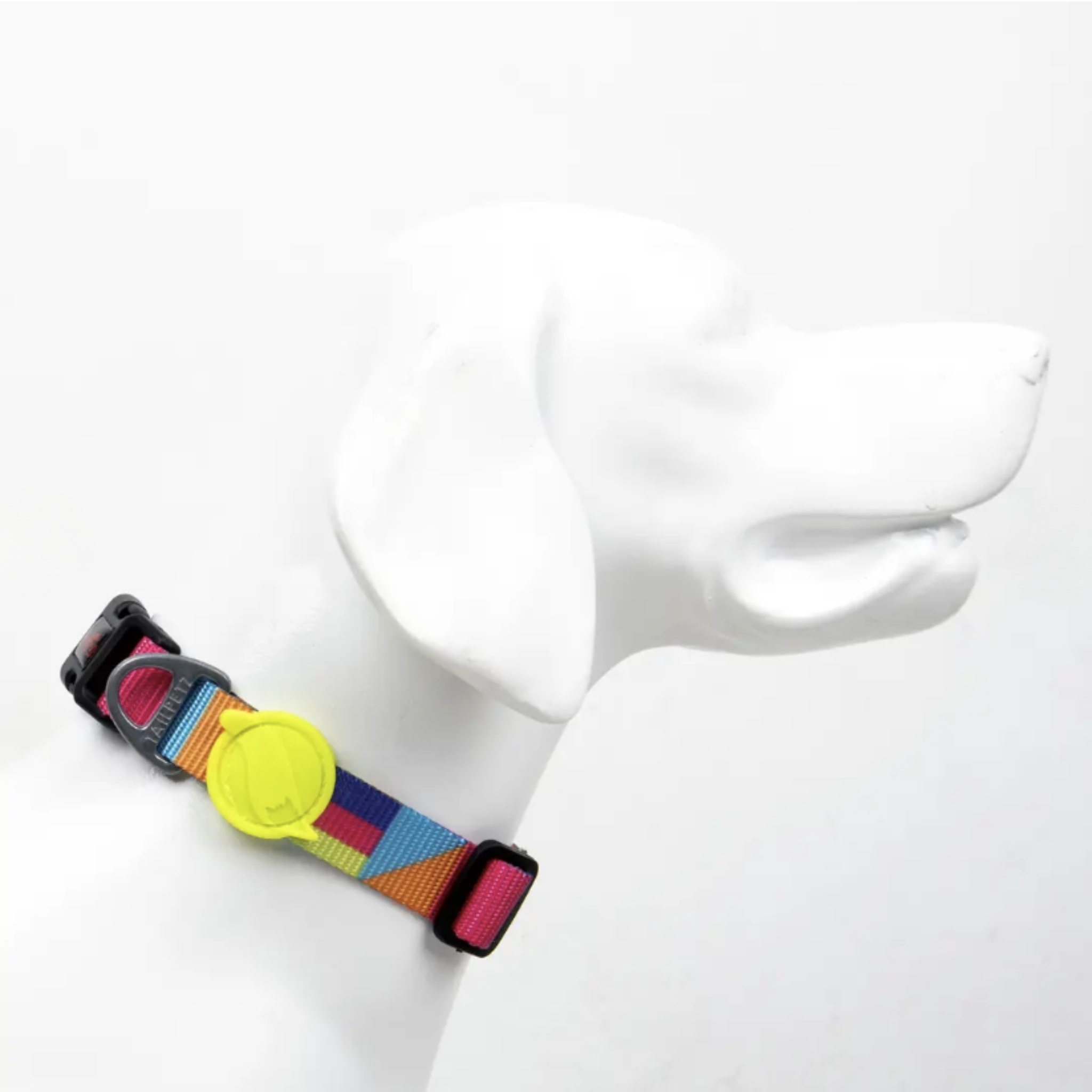 Koiran panta, Spirit