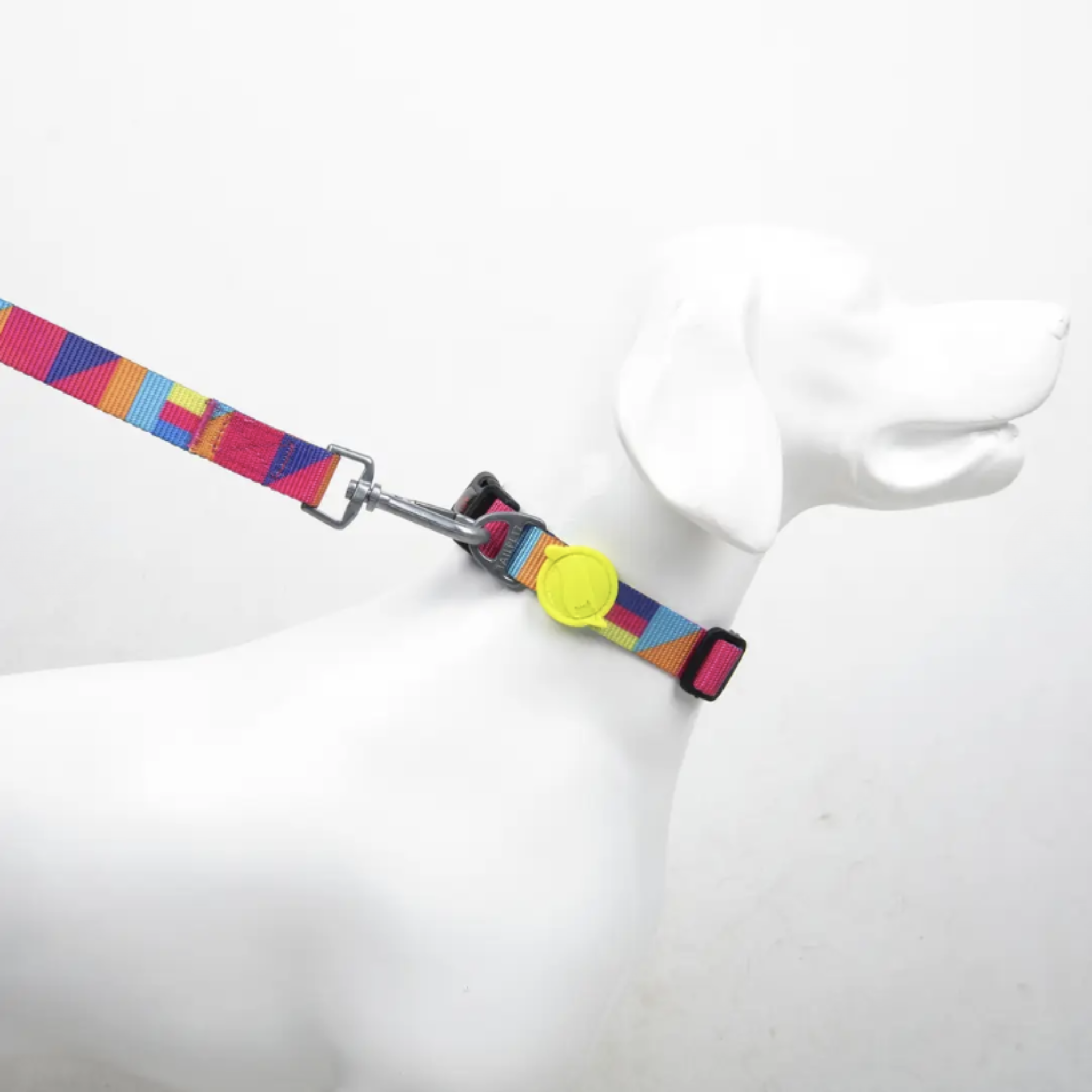 Koiran panta, Spirit