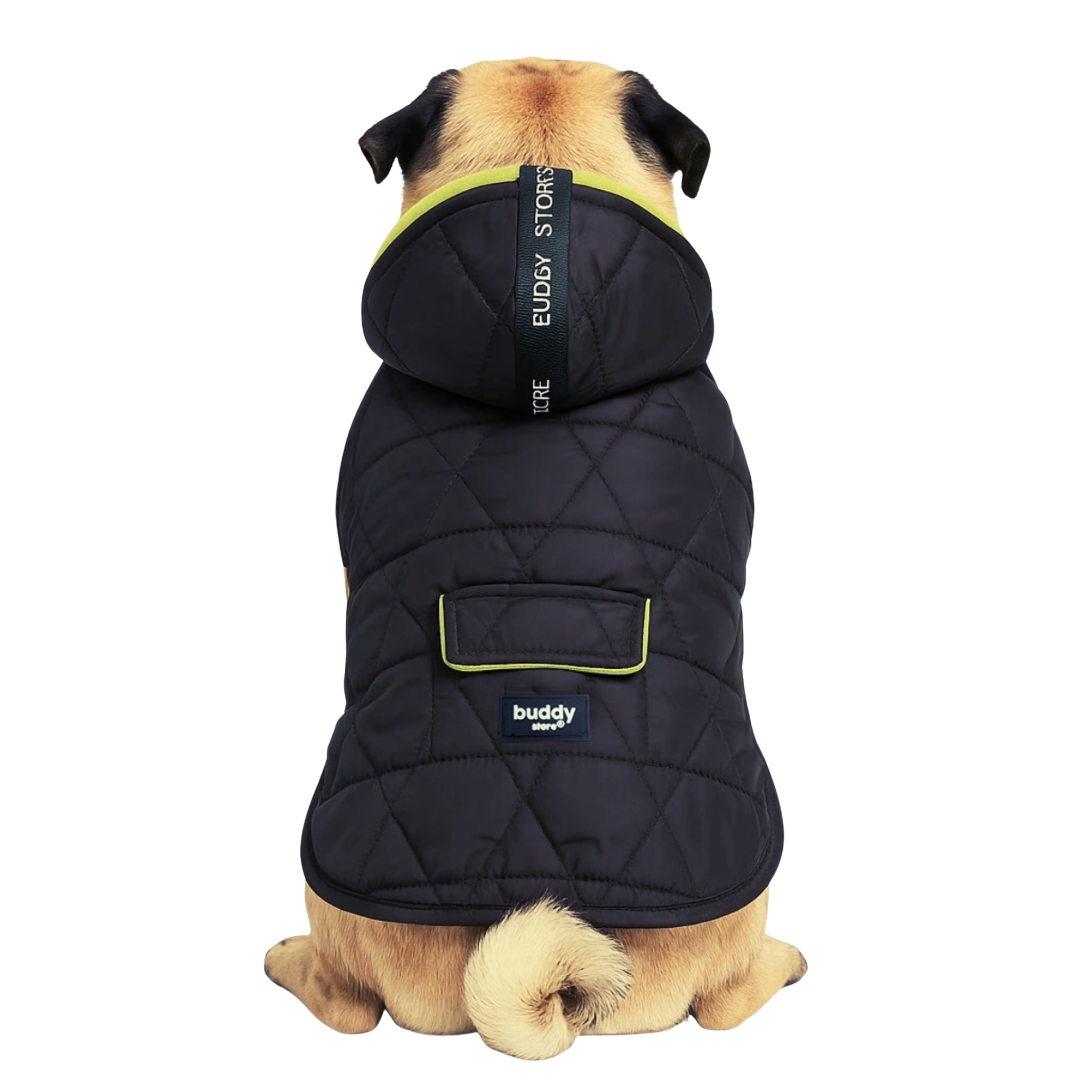 Vedenpitävä ja Topattu Koirantakki Hupulla, Musta