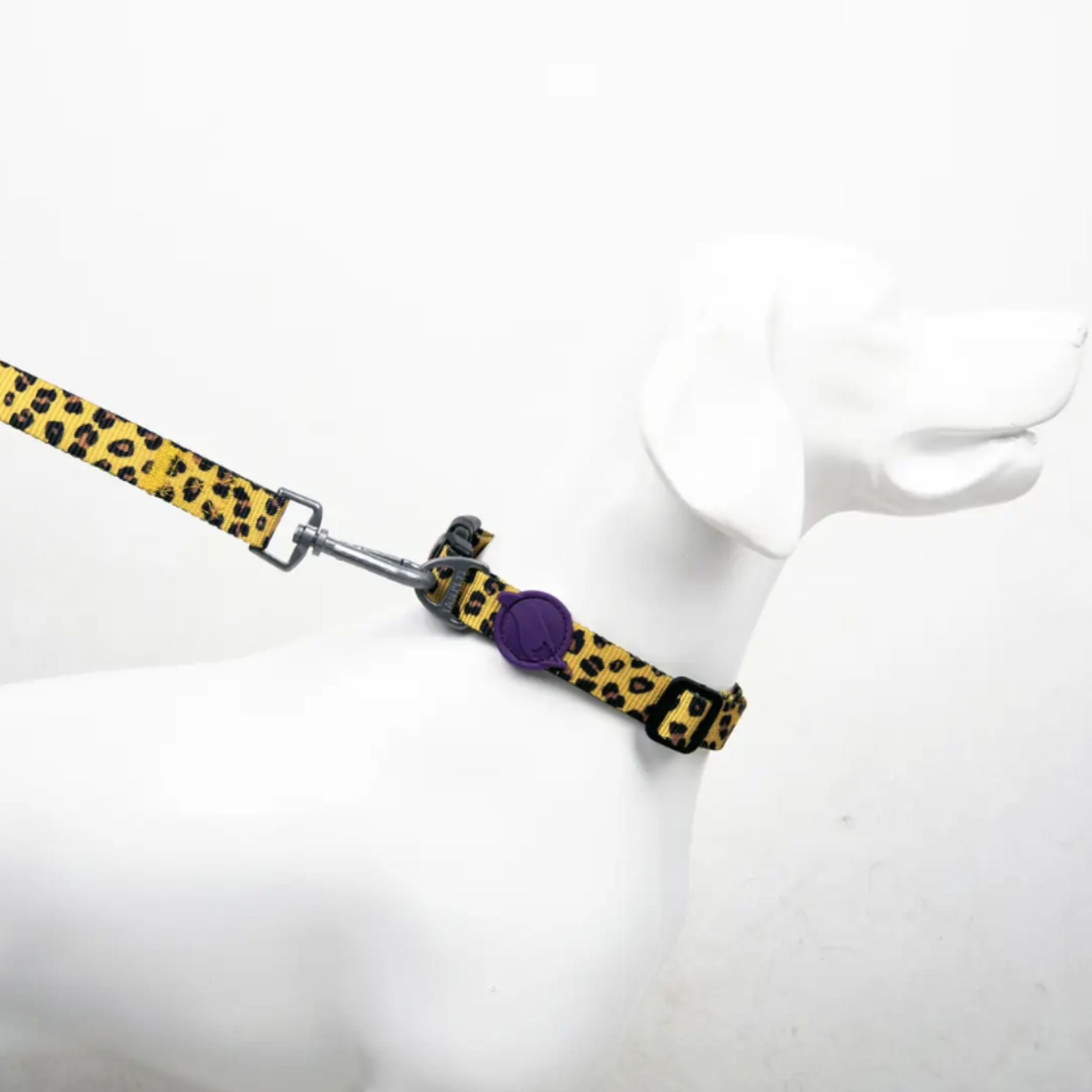 Koiran panta, Leopard