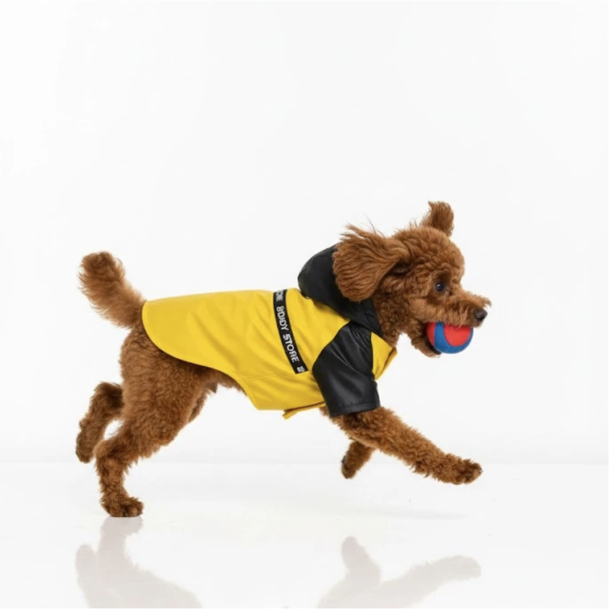 Premium Eco Shield – Vedenpitävä Koiran Sadetakki