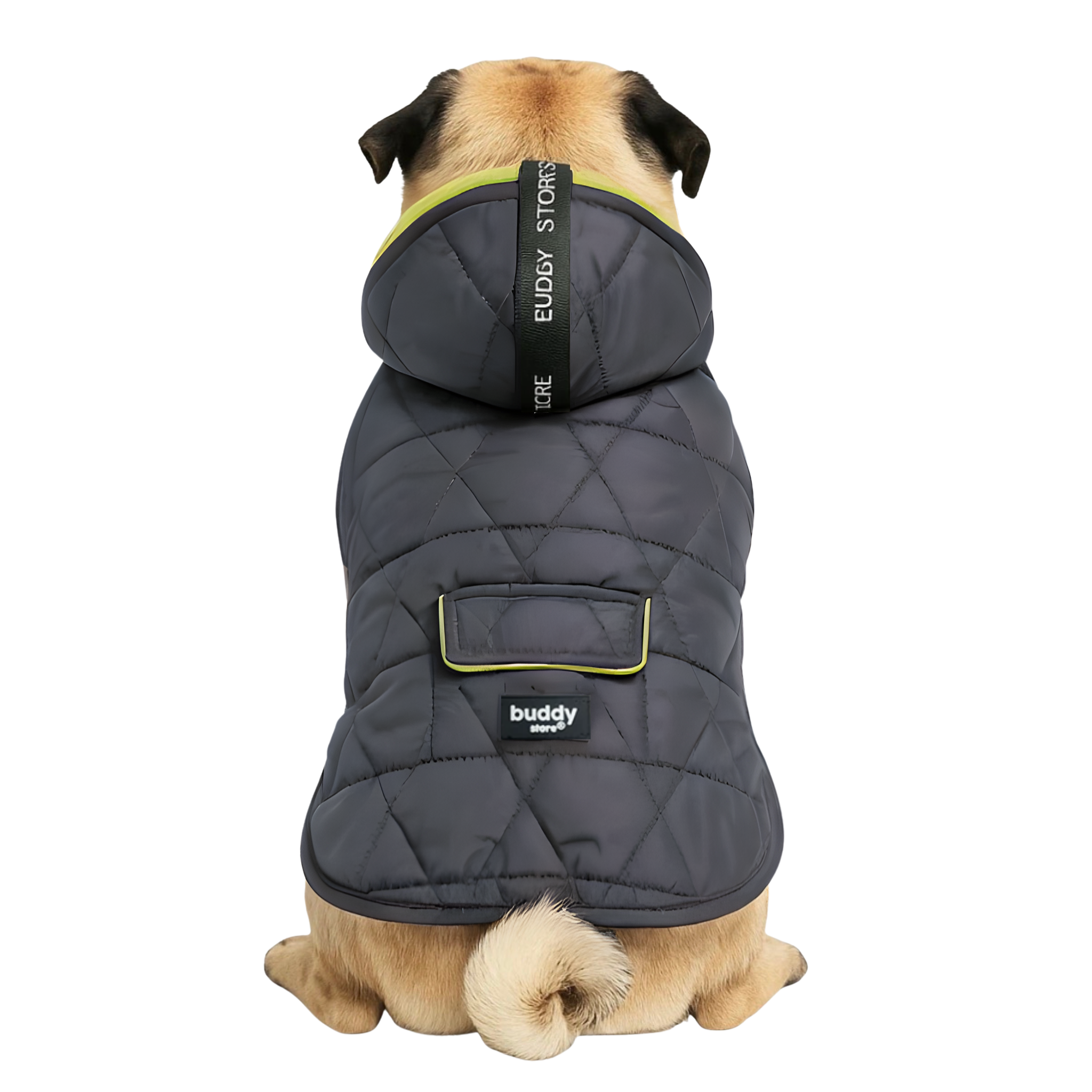 Vedenpitävä ja Topattu Koirantakki Hupulla, Harmaa